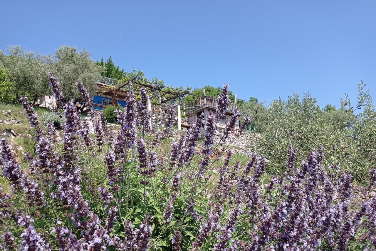 Casa Delle Olive Villa Mošćenička Draga Екстериор снимка