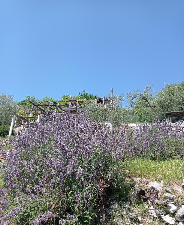 Casa Delle Olive Villa Mošćenička Draga Екстериор снимка