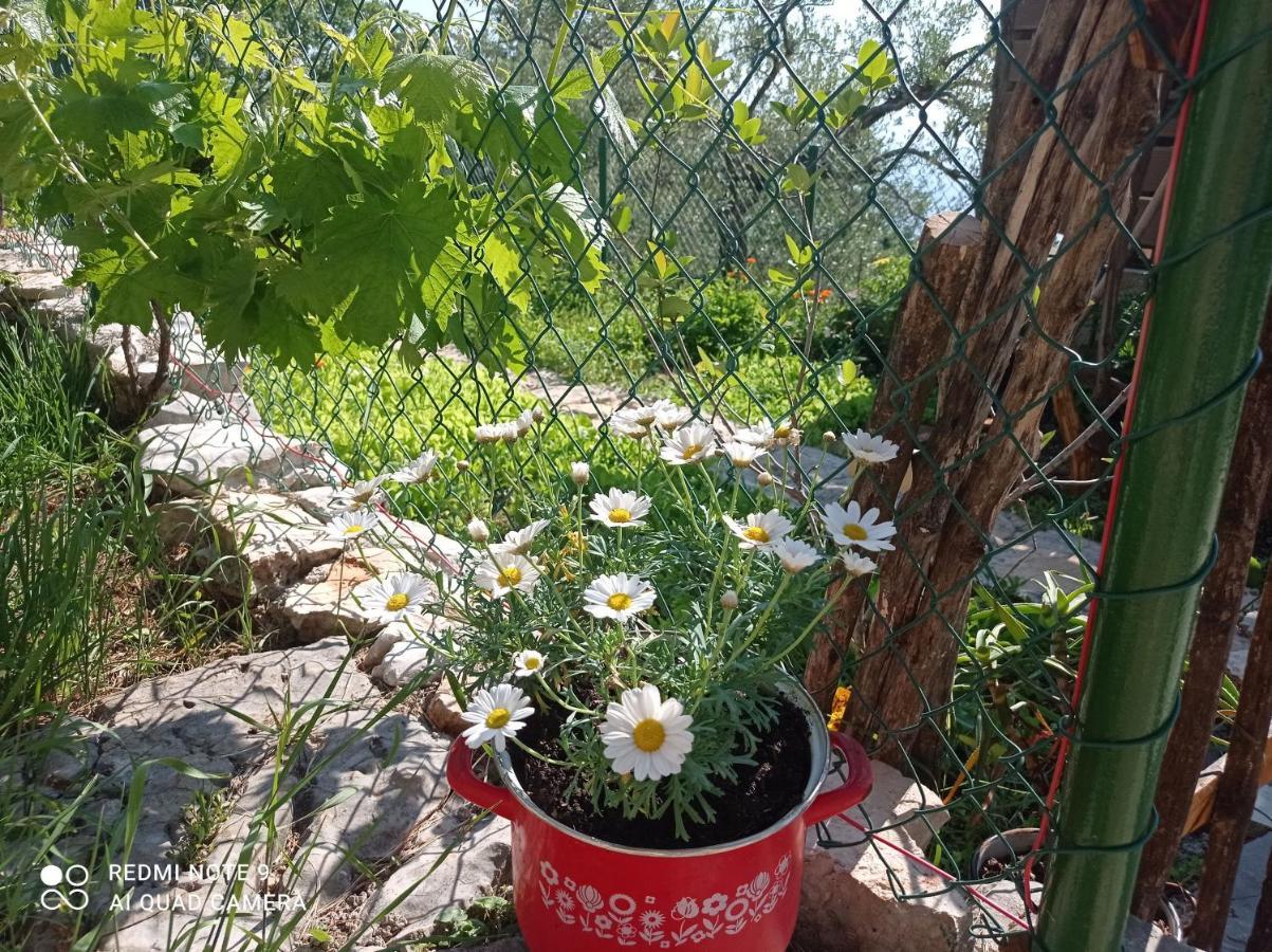 Casa Delle Olive Villa Mošćenička Draga Екстериор снимка