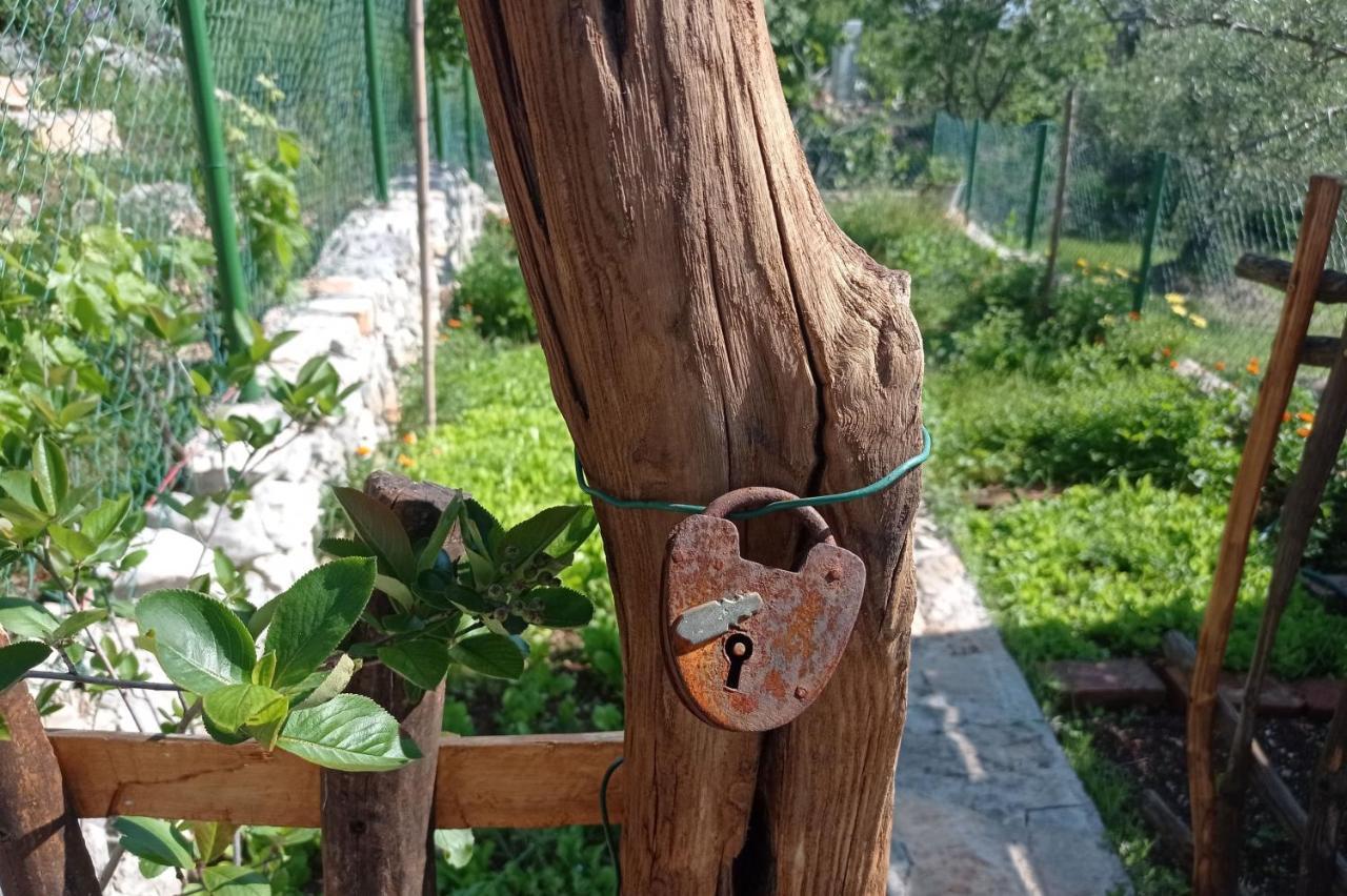 Casa Delle Olive Villa Mošćenička Draga Екстериор снимка