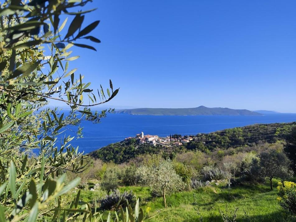 Casa Delle Olive Villa Mošćenička Draga Екстериор снимка